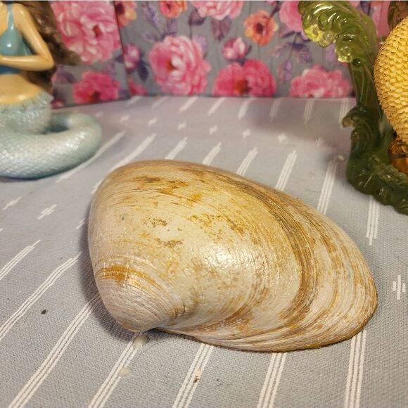 DECOUPAGE CLAM SHELL DECOUPAGE PINECONE AND ROSES - Picture 10 of 10